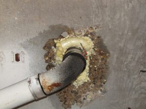 mold removal freehold