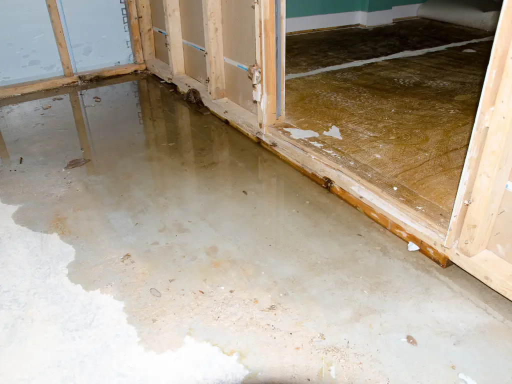 Mold Solutions & Inspections_Philadelphia, PA_Water leaks-2