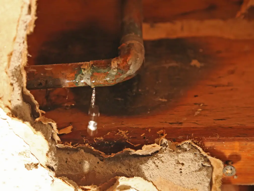 Mold Solutions & Inspections_Philadelphia, PA_Water leaks