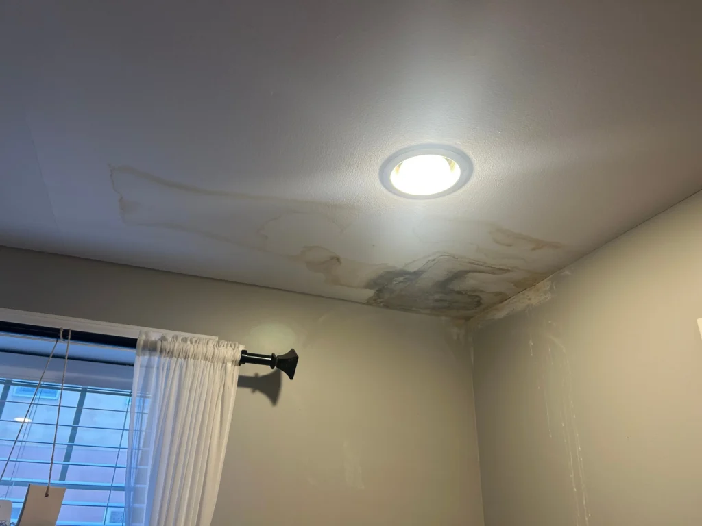 Ceiling water damage restoration