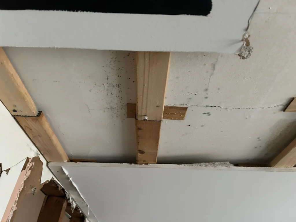 Ceiling water damage inspection