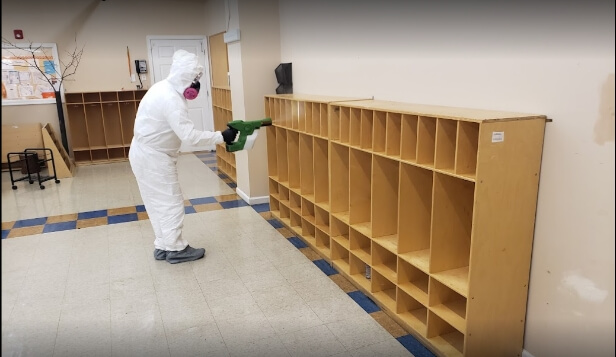 mold-remediation-process-bg