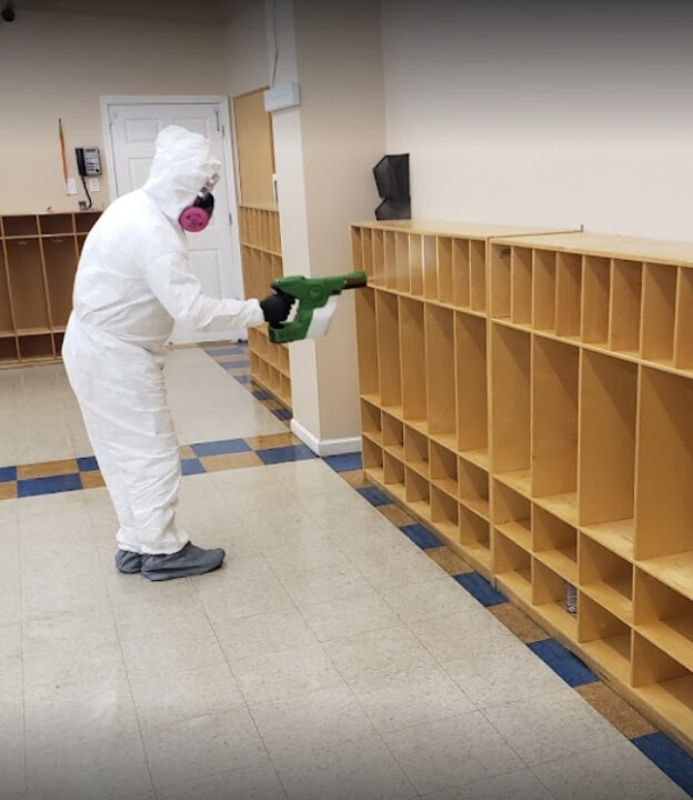 mold-remediation-process-bg